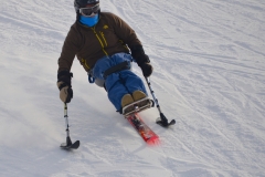 Mono skier